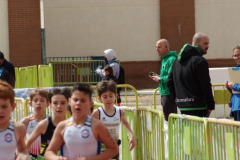 img-082