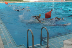 img-2022-06-20-10h01m30s225