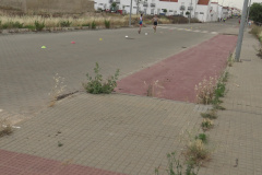 foto-00014